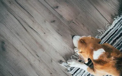 Vinyl vs Laminate Flooring: Which is Better?